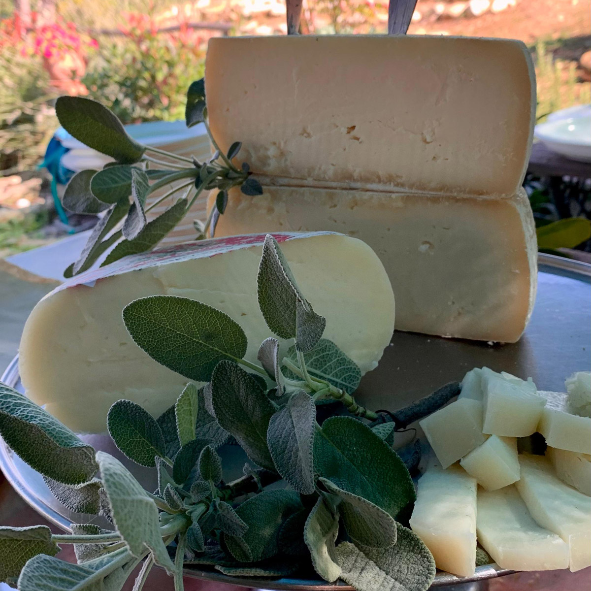 formaggio-toscano-fratelli-micheli-firenze Catering estivo Micheli firenze